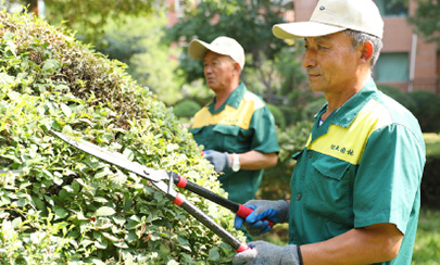 保洁服务哪家合适